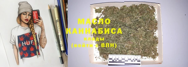 винт Ельня