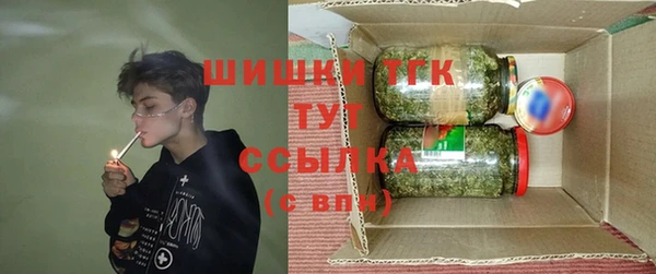 винт Ельня
