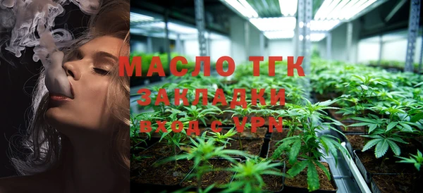 винт Ельня