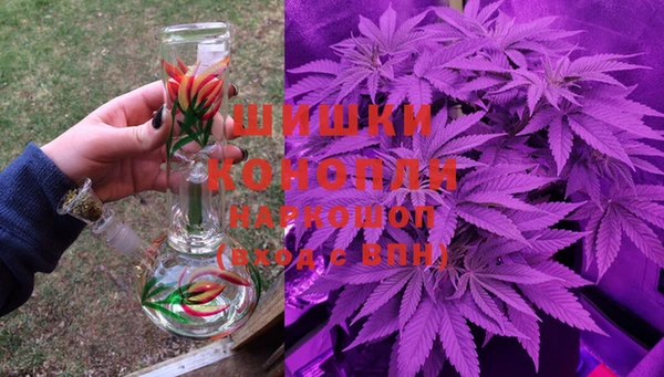 эйфоретик Елизово