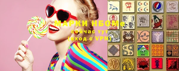 винт Ельня