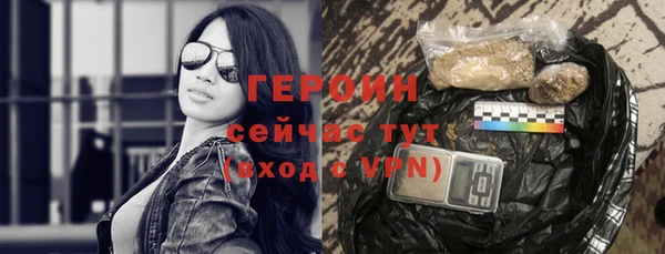 винт Ельня