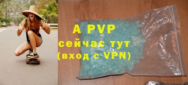 винт Ельня