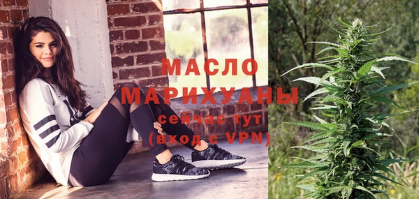 винт Ельня